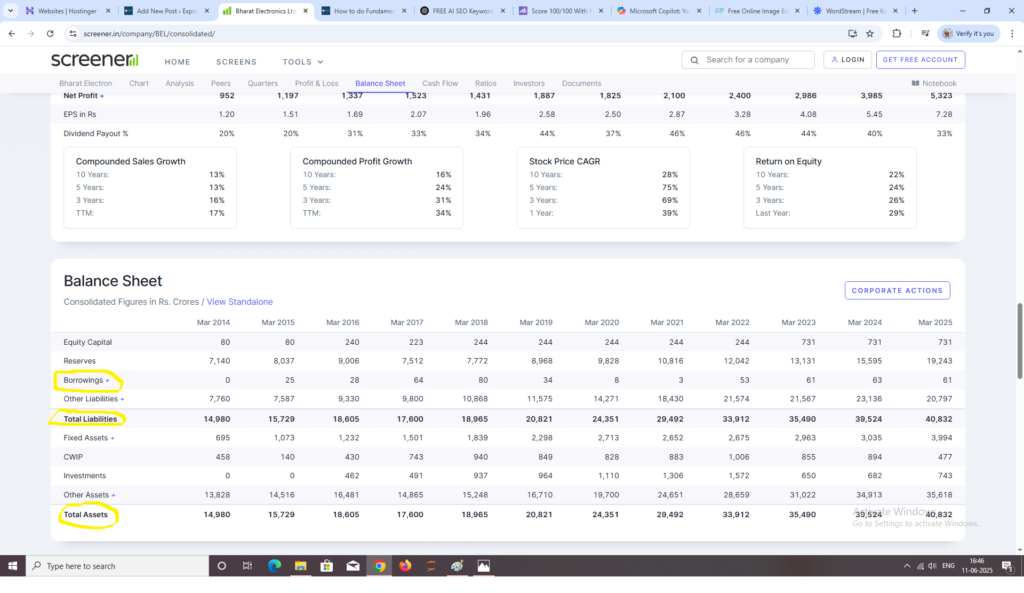 The screener data, which shows the assets, liabilities and borrowing in detail